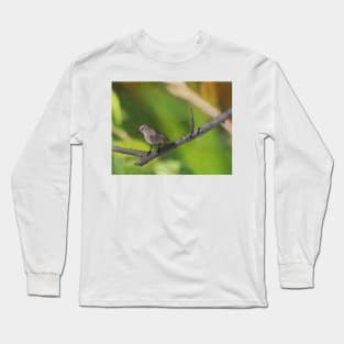 Redstart resting on a branch Long Sleeve T-Shirt